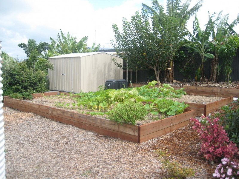 8 Minnow Court, Currimundi QLD 4551