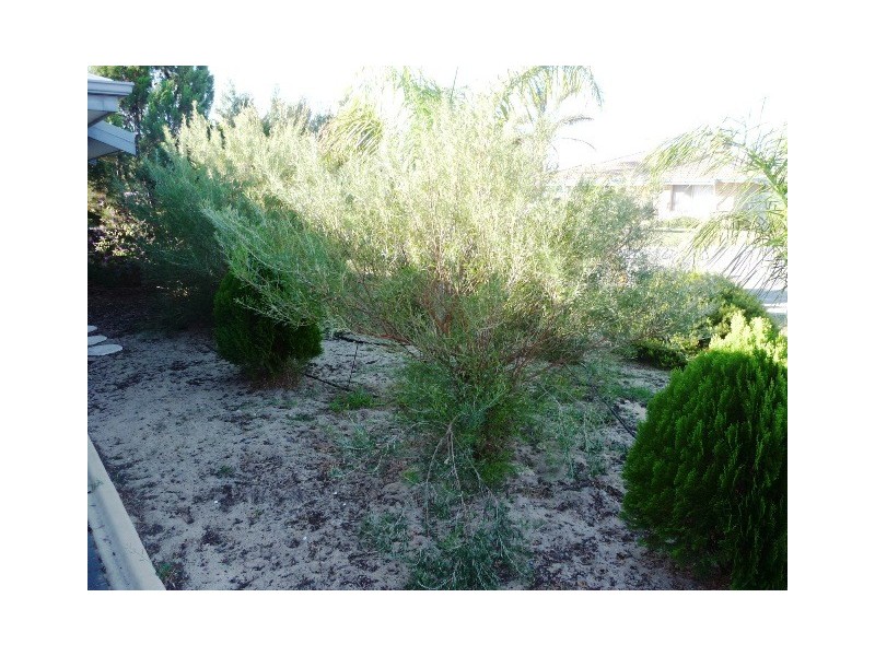 5 Clipperton Court, Waikiki WA 6169