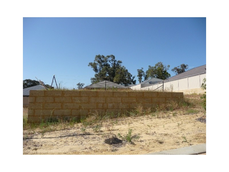 16 Anfield Court, Baldivis WA 6171