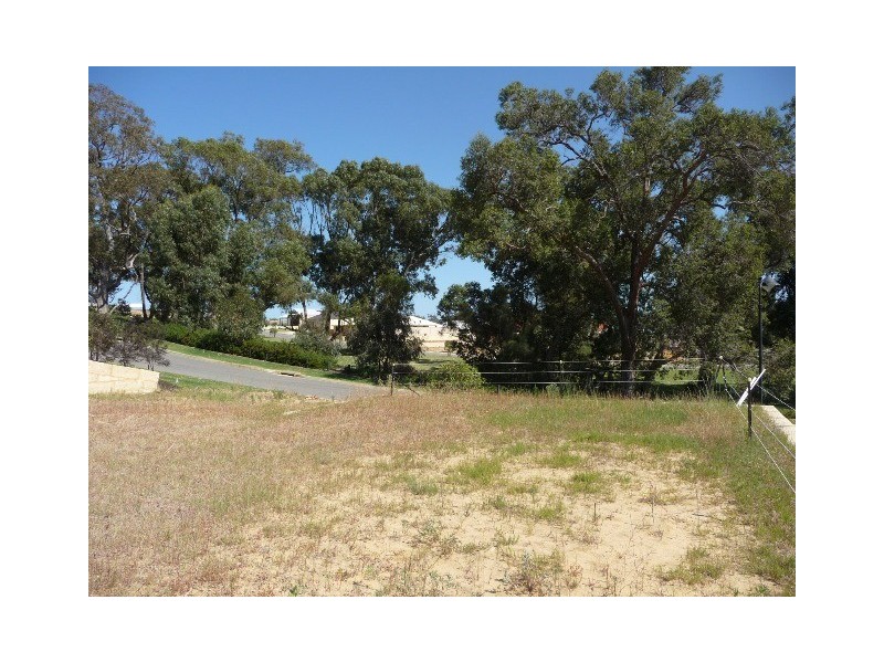 16 Anfield Court, Baldivis WA 6171