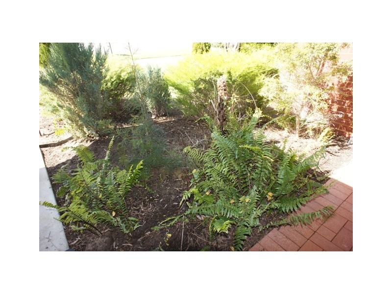 20 Jean Pierre Drive, Port Kennedy WA 6172