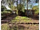 22 Bideford Street, Warnbro WA 6169