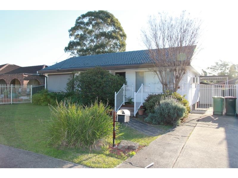 38 Young Street, Mount Pritchard NSW 2170