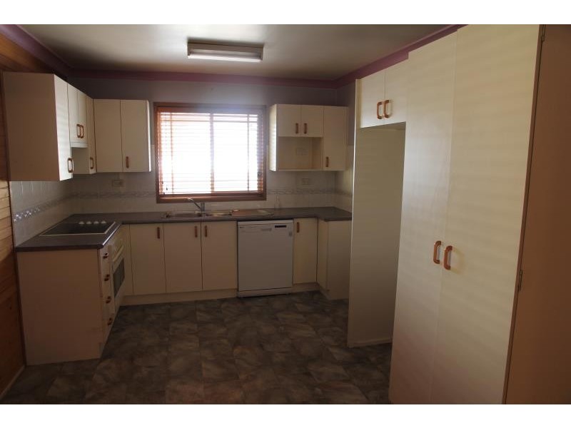 9 Young Street, Mount Pritchard NSW 2170