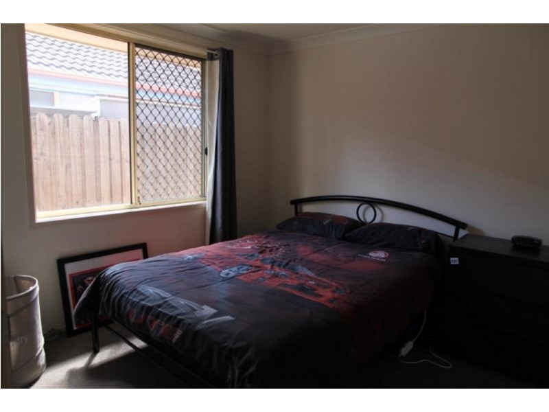 19 Morton Court, Wattle Grove NSW 2173