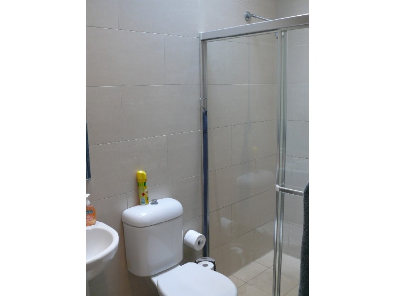 13 Bridges Ave, Wattle Grove NSW 2173