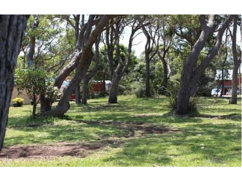 53 Curvers Drive, Manyana NSW 2539