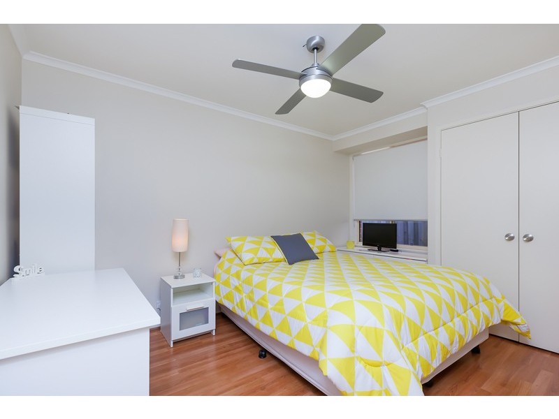 Wattle Grove NSW 2173