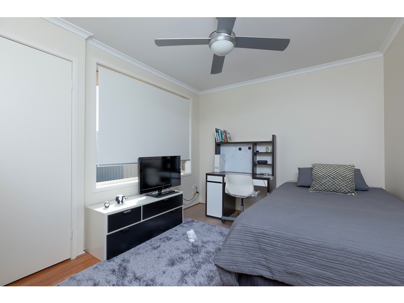 Wattle Grove NSW 2173