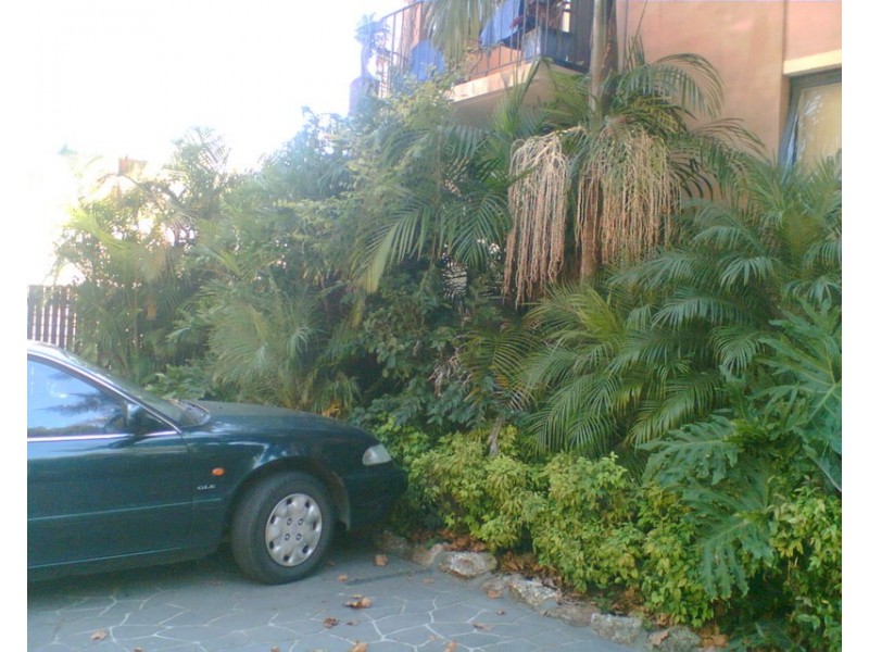 6/31 JAMES ST, Newtown NSW 2042