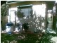 Glebe NSW 2037