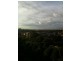 Dulwich Hill NSW 2203