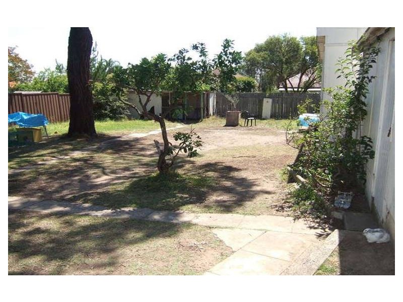 31 Wilga St, Punchbowl NSW 2196