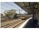 Petersham NSW 2049