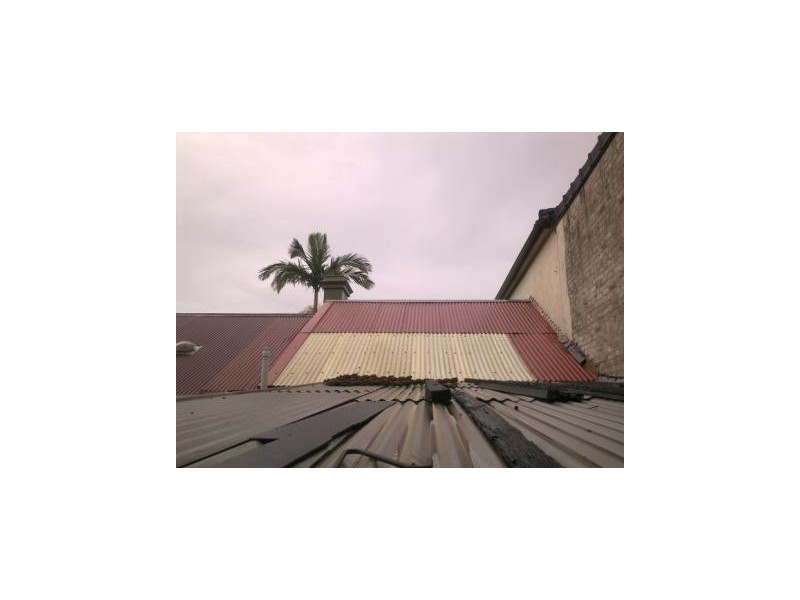 193 Sydenham Road, Marrickville NSW 2204