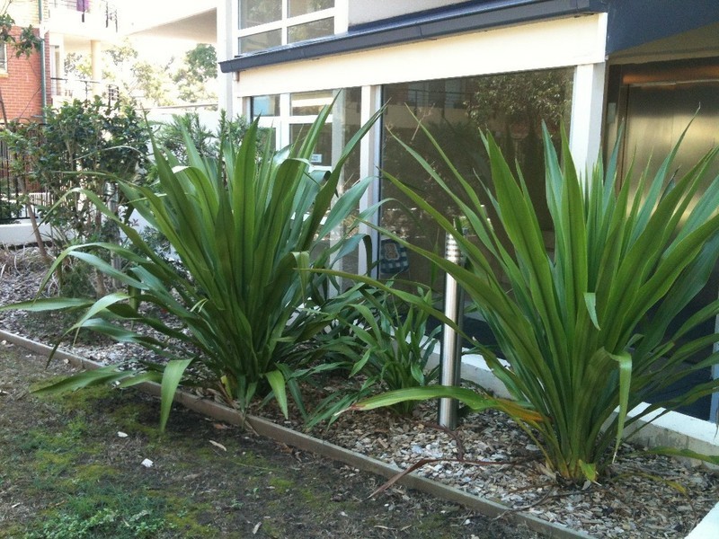 640/650 PACIFIC HIGHWAY, Chatswood NSW 2067