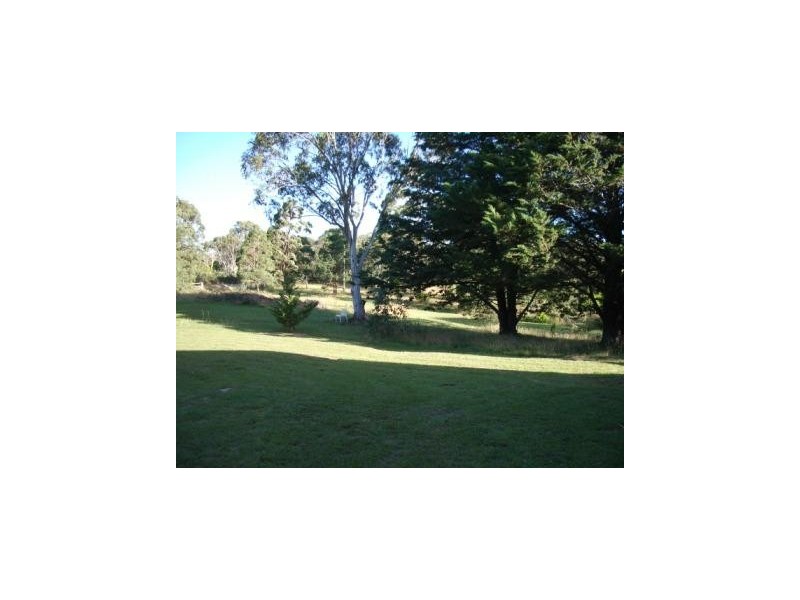 579  Northangera Road, Braidwood NSW 2622