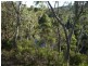 579 Northangera Road, Braidwood NSW 2622