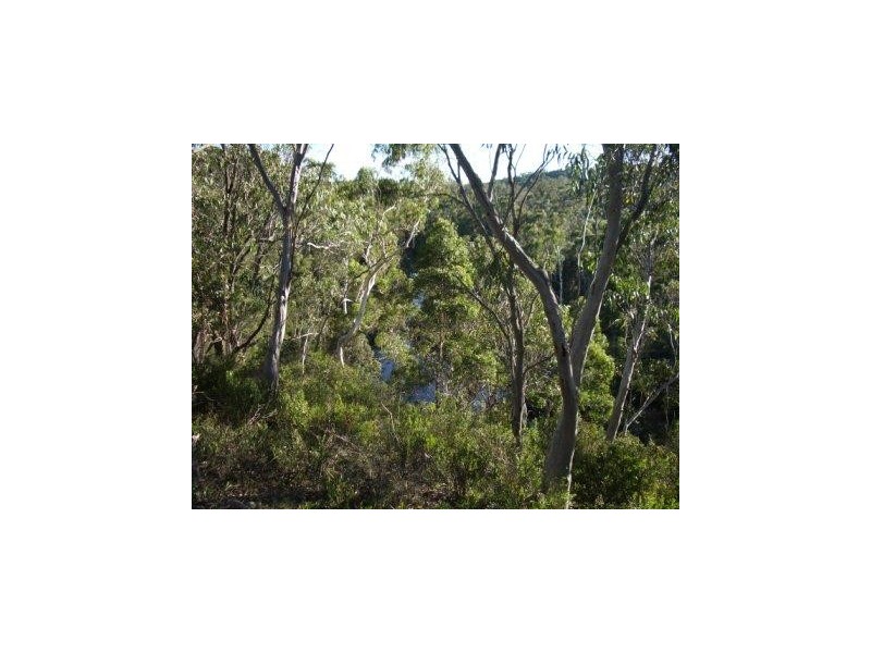 579 Northangera Road, Braidwood NSW 2622