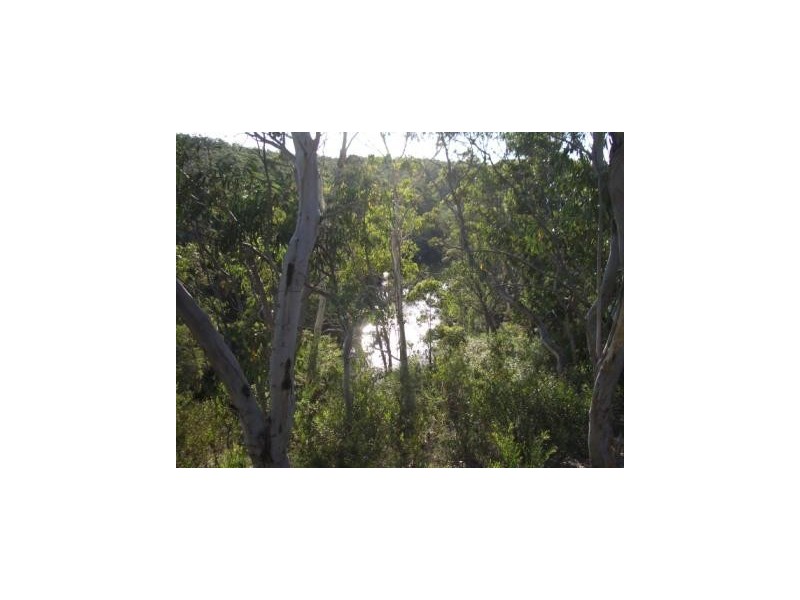 579 Northangera Road, Braidwood NSW 2622