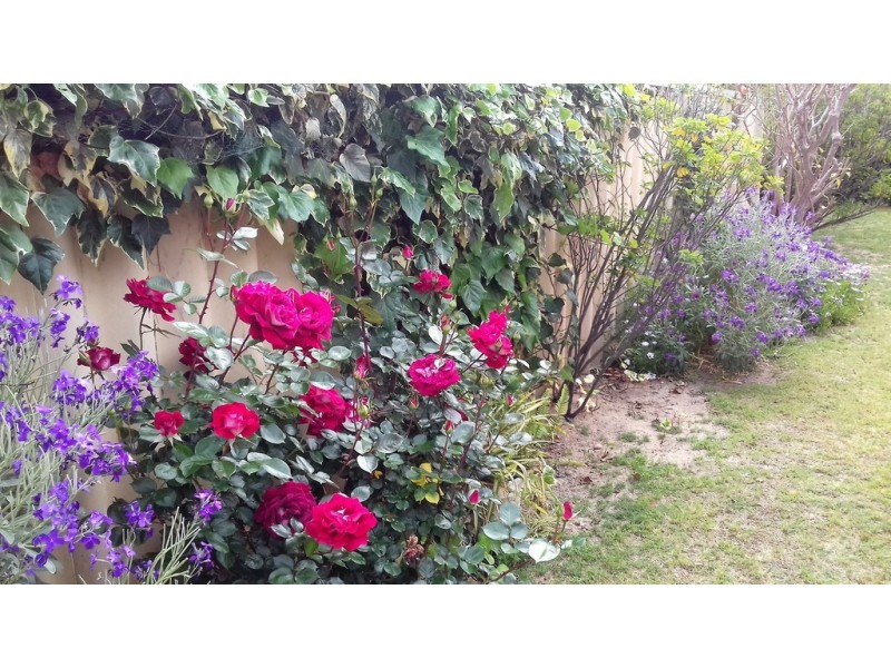 1/44 Erica Street, Coodanup WA 6210