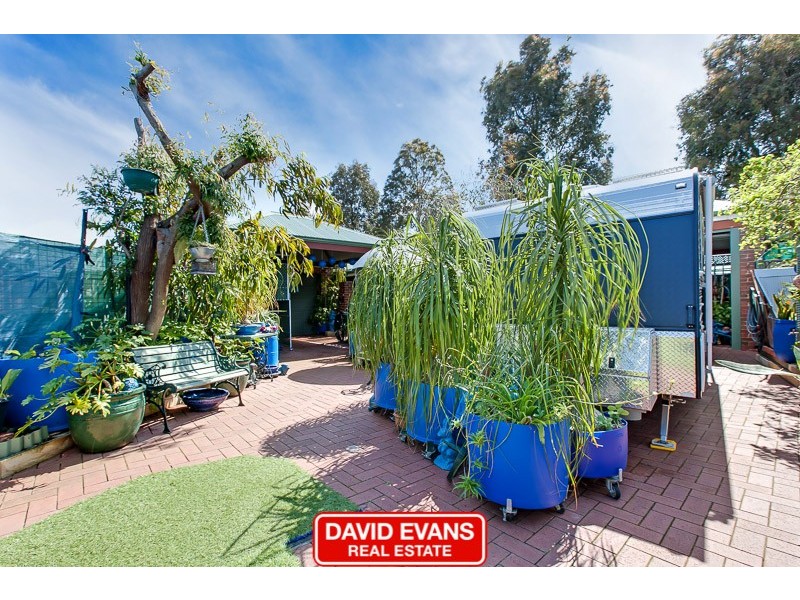 7 Renmark Court, Baldivis WA 6171