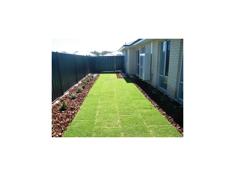 5 Desiree Drive, Baldivis WA 6171