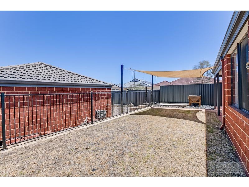 25 Regency Avenue, Baldivis WA 6171