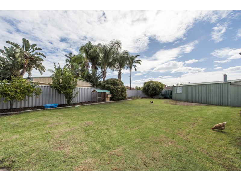 11 Cavalaire Mews, Port Kennedy WA 6172