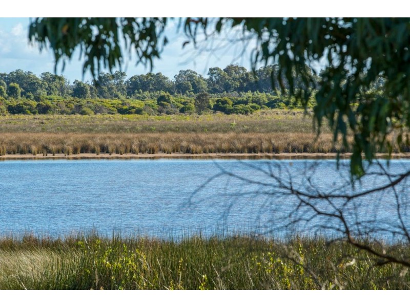 16 McDonald Road, Baldivis WA 6171