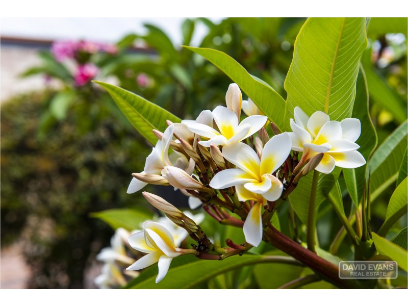 23/9 Bradbury Street, Rockingham WA 6168