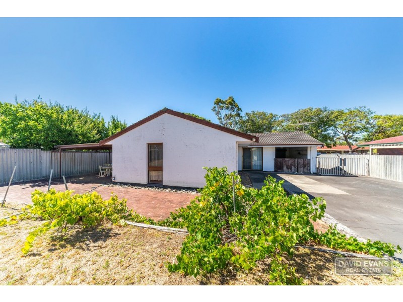 3 Malbeling Close, Hillman WA 6168