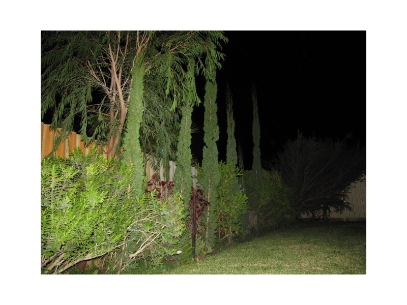 172 Penguin Road, Safety Bay WA 6169