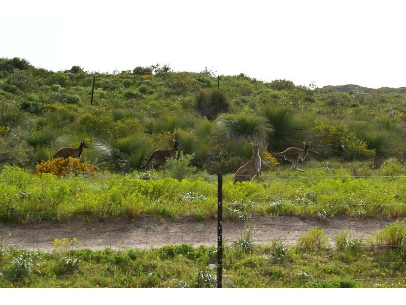 6 Seattle Lane, Port Kennedy WA 6172