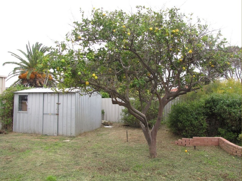 6 Heron place, Rockingham WA 6168