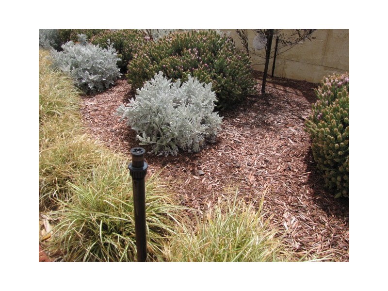 1/21 Pebble Beach Boulevard, Meadow Springs WA 6210