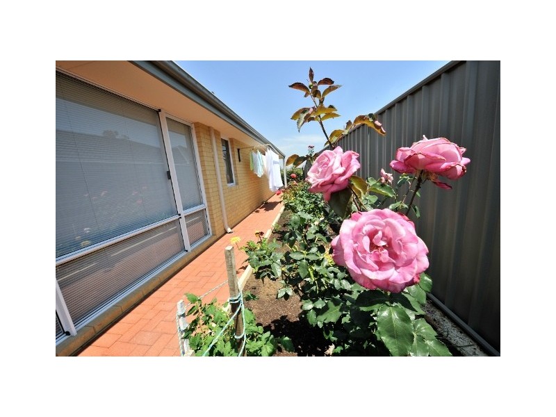 15 Lambeth Circle, Wellard WA 6170