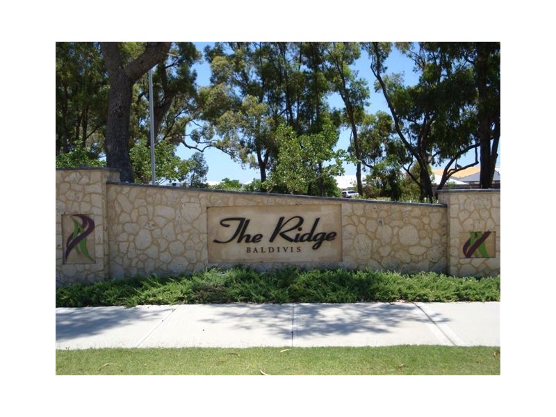 19 Avena Gardens, Baldivis WA 6171