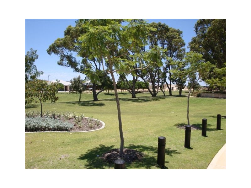 19 Avena Gardens, Baldivis WA 6171