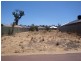 3 Berrow Place, Leda WA 6170