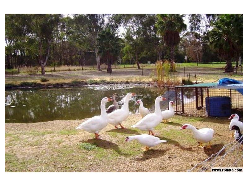 10 Cobby Lane, Baldivis WA 6171