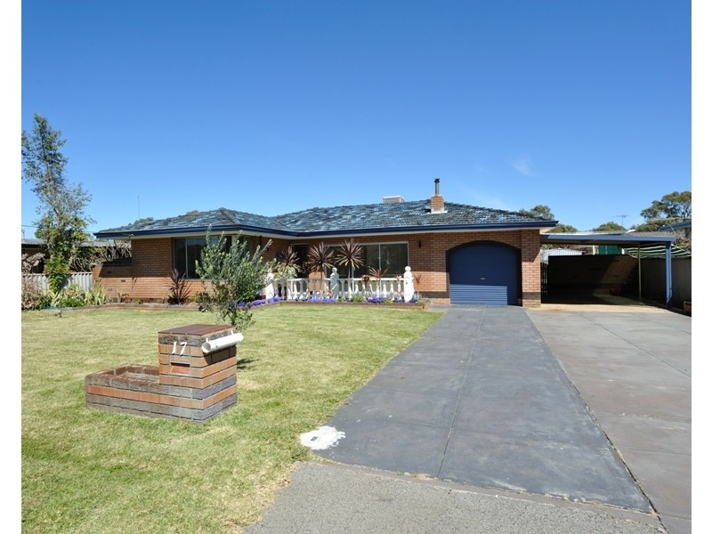 17 Hydra Close, Rockingham WA 6168
