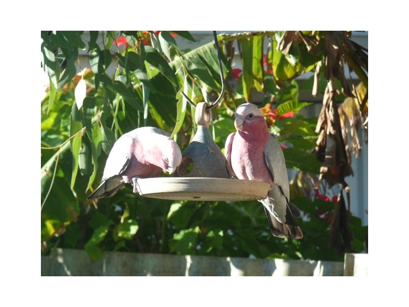 32 Noreena Avenue, Golden Bay WA 6174