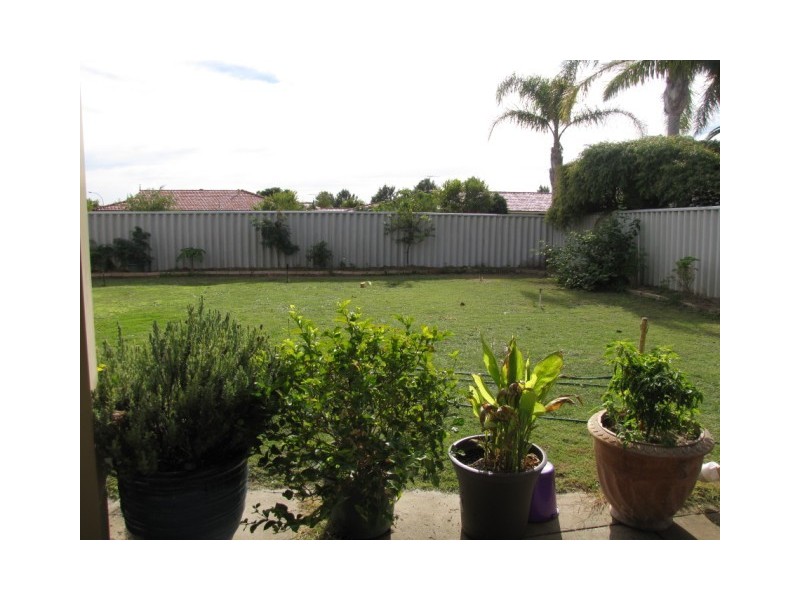 33 The Avenue, Warnbro WA 6169