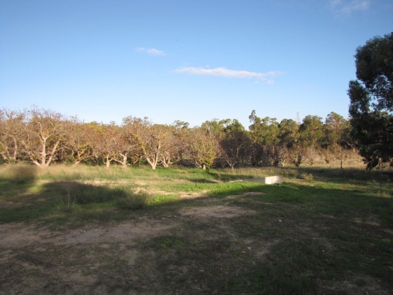 70 Bailey Road, Carabooda WA 6033