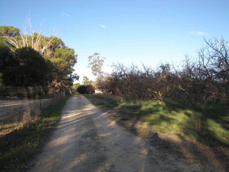 70 Bailey Road, Carabooda WA 6033