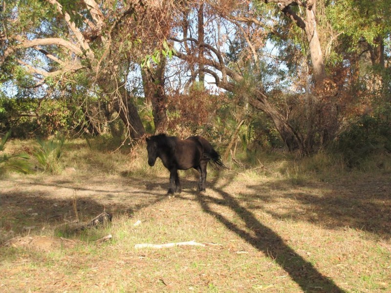 70 Bailey Road, Carabooda WA 6033