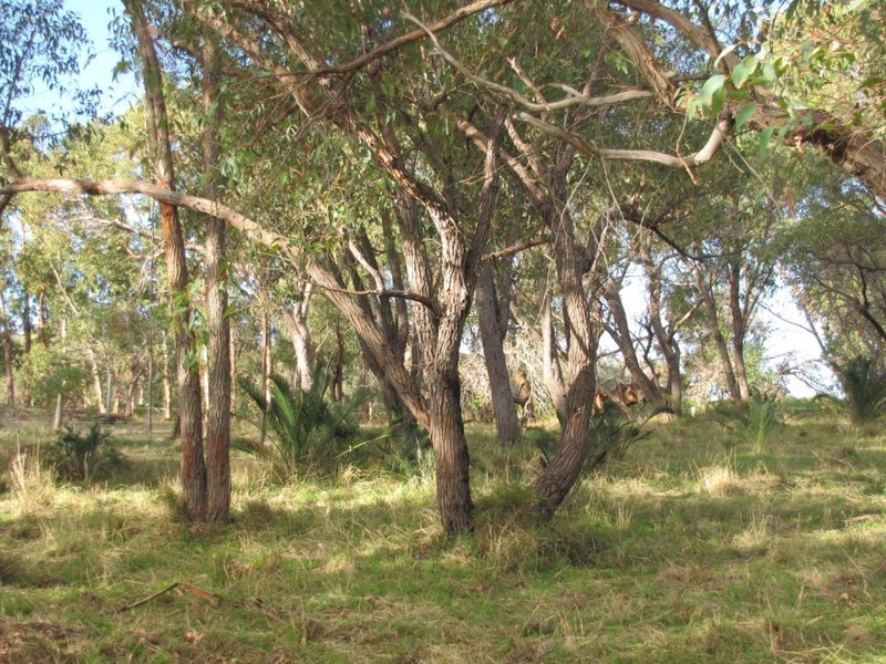 70 Bailey Road, Carabooda WA 6033