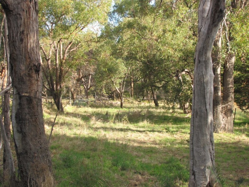 70 Bailey Road, Carabooda WA 6033