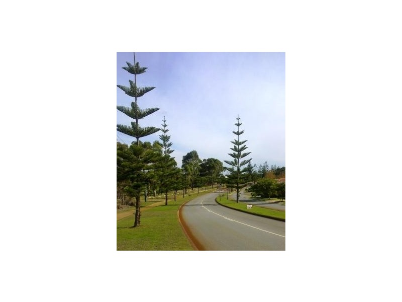 32 PEACOCK AVENUE, Singleton WA 6175